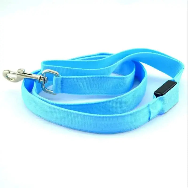 Glow-Guide Rechargeable Pet Leash