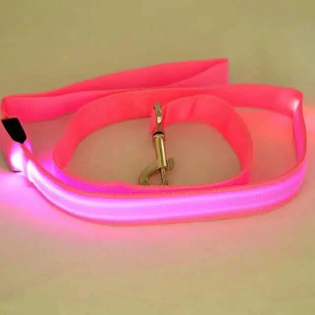 Glow-Guide Rechargeable Pet Leash