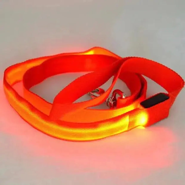 Glow-Guide Rechargeable Pet Leash