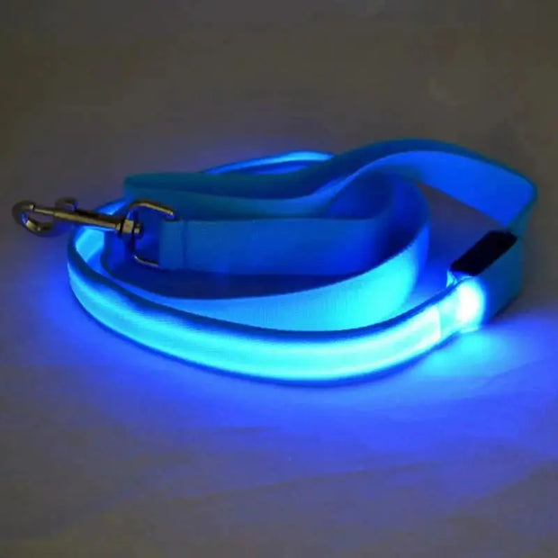 Glow-Guide Rechargeable Pet Leash