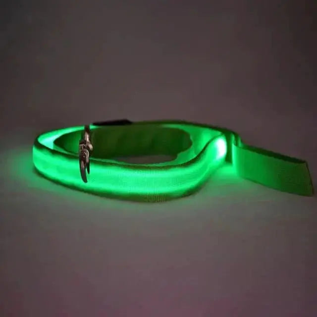 Glow-Guide Rechargeable Pet Leash