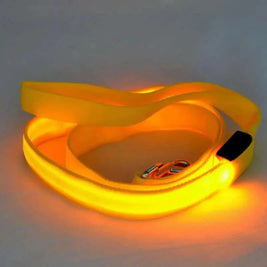 Glow-Guide Rechargeable Pet Leash