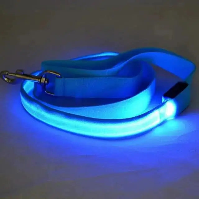 Glow-Guide Rechargeable Pet Leash