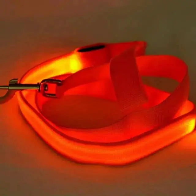 Glow-Guide Rechargeable Pet Leash