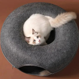 Scratch Donut & Play Tunnel