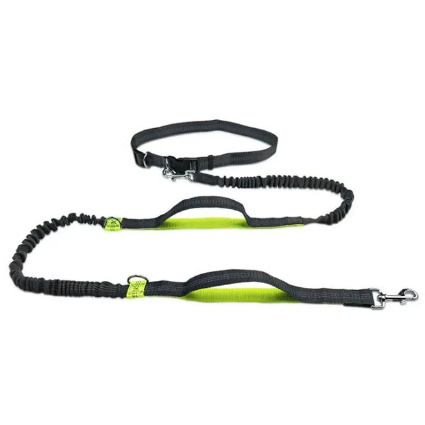 Bright Rope Dog Leashes