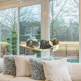 Pet Window Hammock