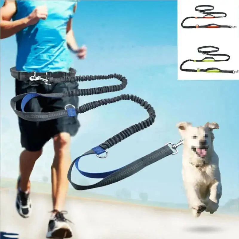 Bright Rope Dog Leashes