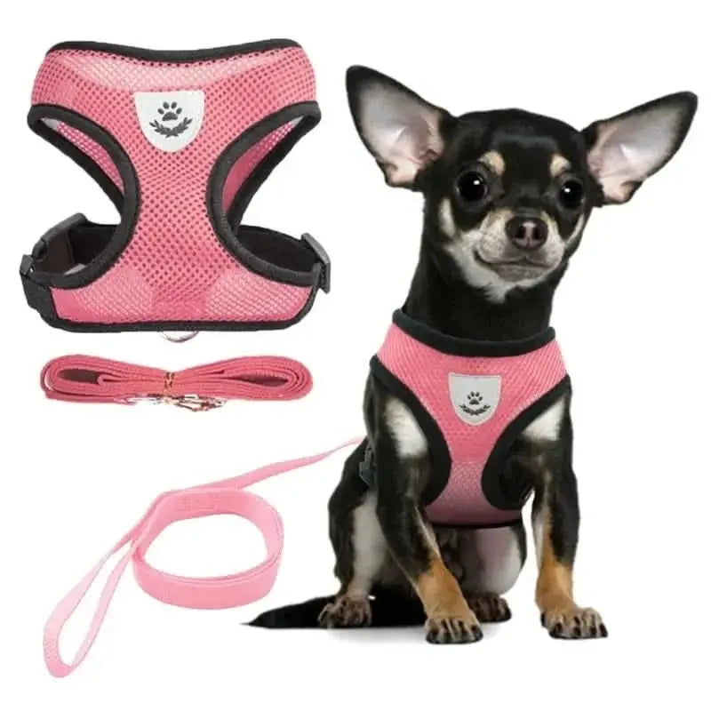 Pet Harness – Comfort and Safety in Every Step!