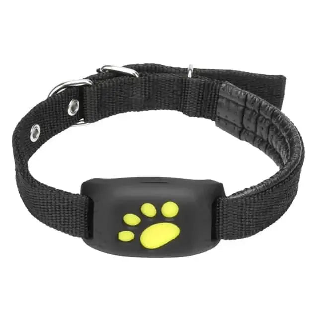 Smart Pet Locator Collar