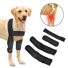 Canine Leg Support