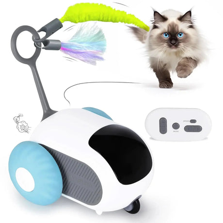 Smart Pet Playmate