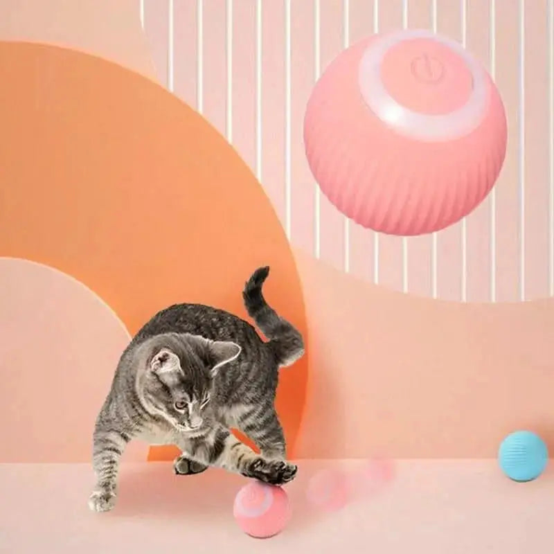 Auto Glide Cat Toy – Endless Fun for Your Feline!