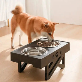 Elevated Dual-Bowl Pet Dining Table