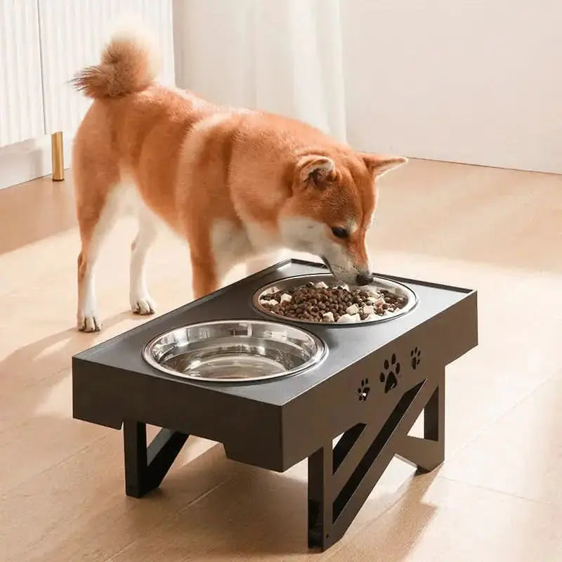 Elevated Dual-Bowl Pet Dining Table