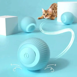 Auto Glide Cat Toy – Endless Fun for Your Feline!