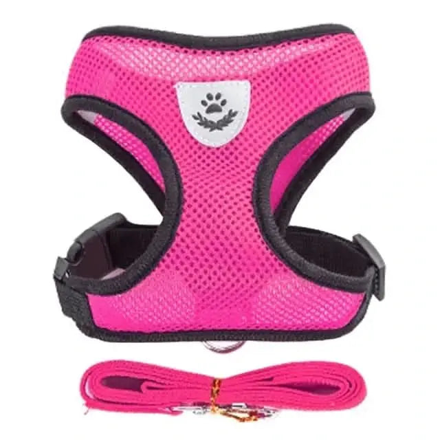 Pet Harness – Comfort and Safety in Every Step!