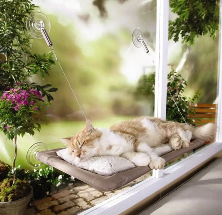 Pet Window Hammock