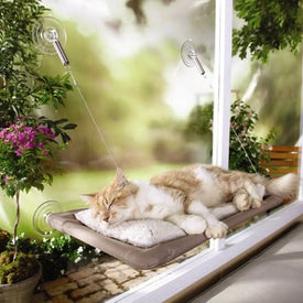 Pet Window Hammock