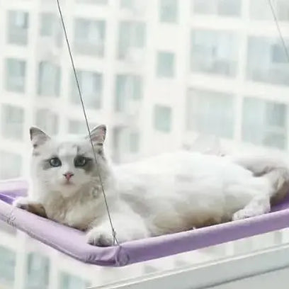 Pet Window Hammock