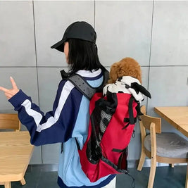 Canine Adventure Backpack