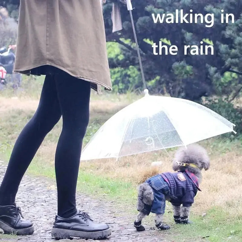 Canine Rain Shields