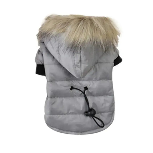 Chic Hooded Canine Coat