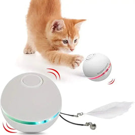 LED Rainbow Play Cat Toy