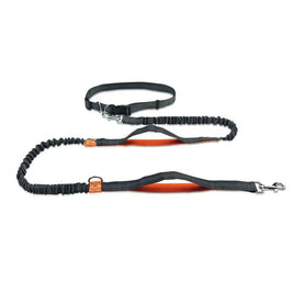 Bright Rope Dog Leashes