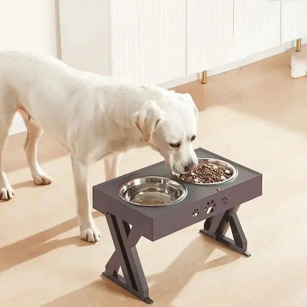 Elevated Dual-Bowl Pet Dining Table