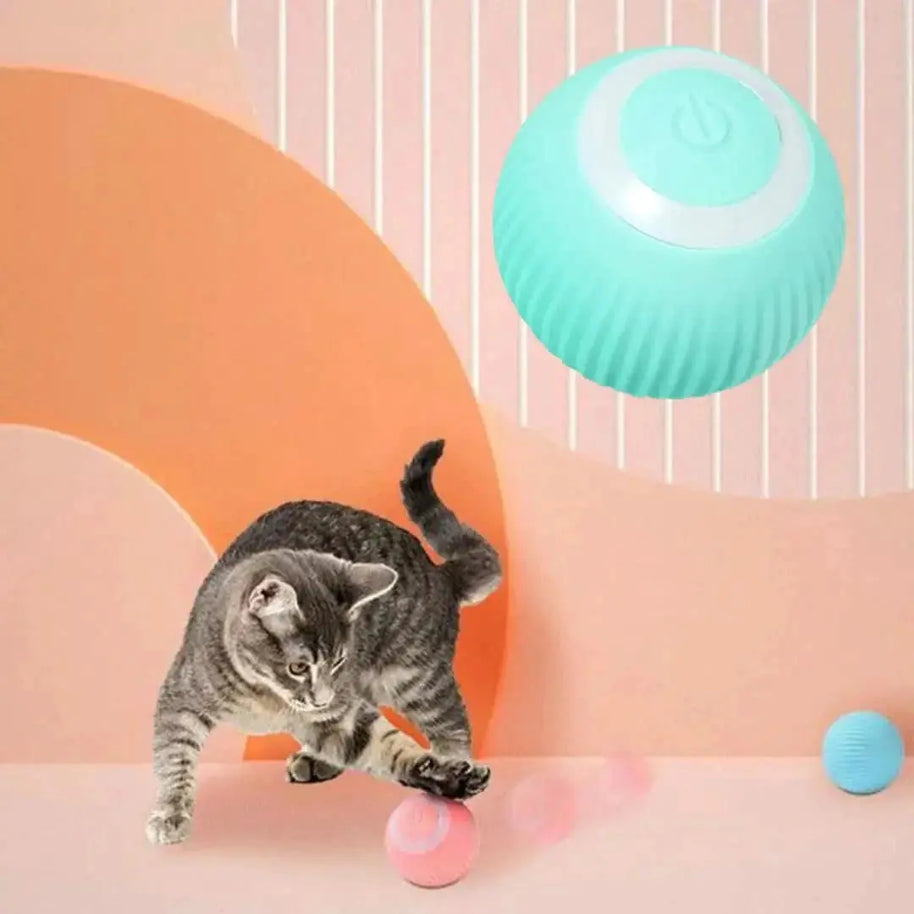 Auto Glide Cat Toy – Endless Fun for Your Feline!