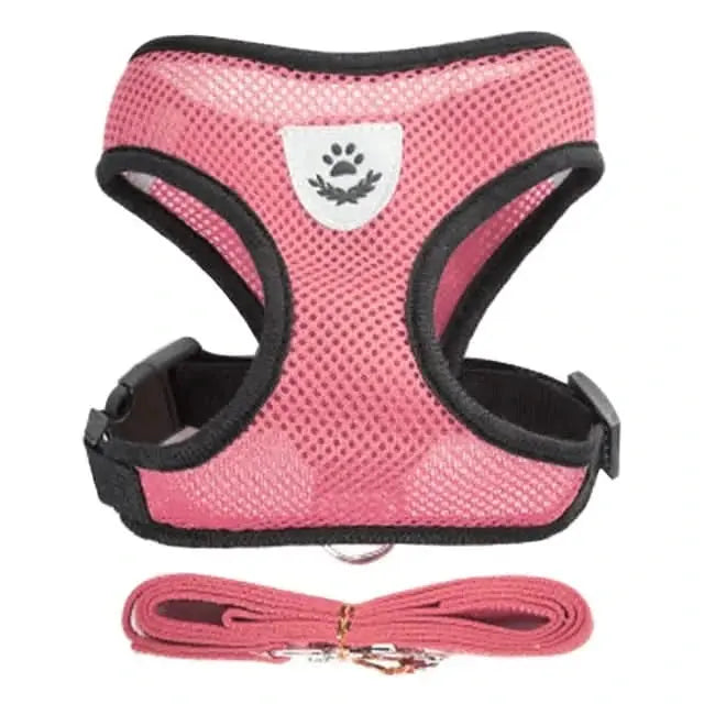 Pet Harness – Comfort and Safety in Every Step!