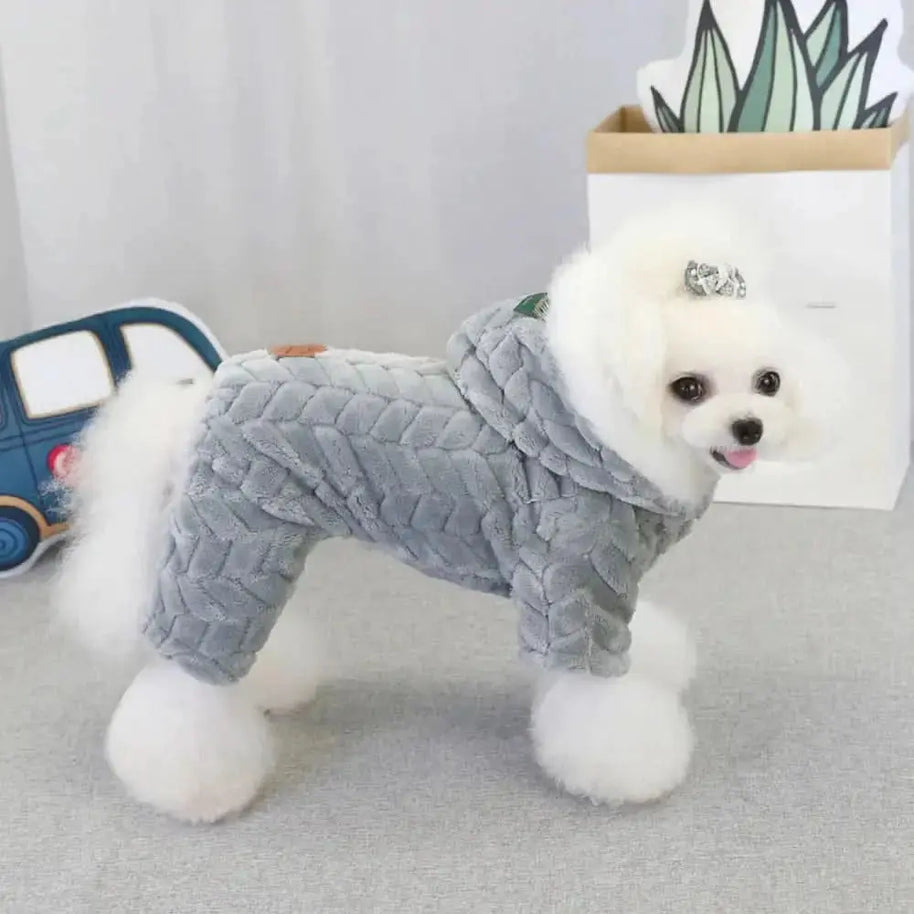 Canine Winter Apparel