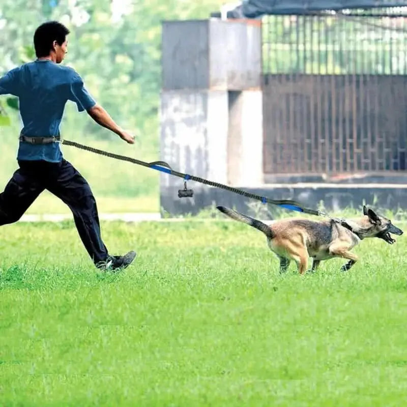 Bright Rope Dog Leashes