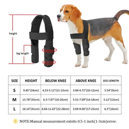 Canine Leg Support