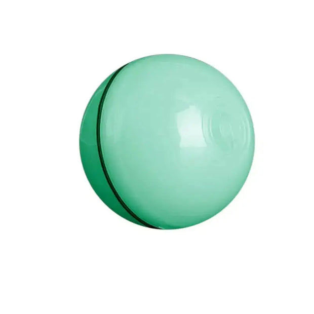 Interactive Toy Ball