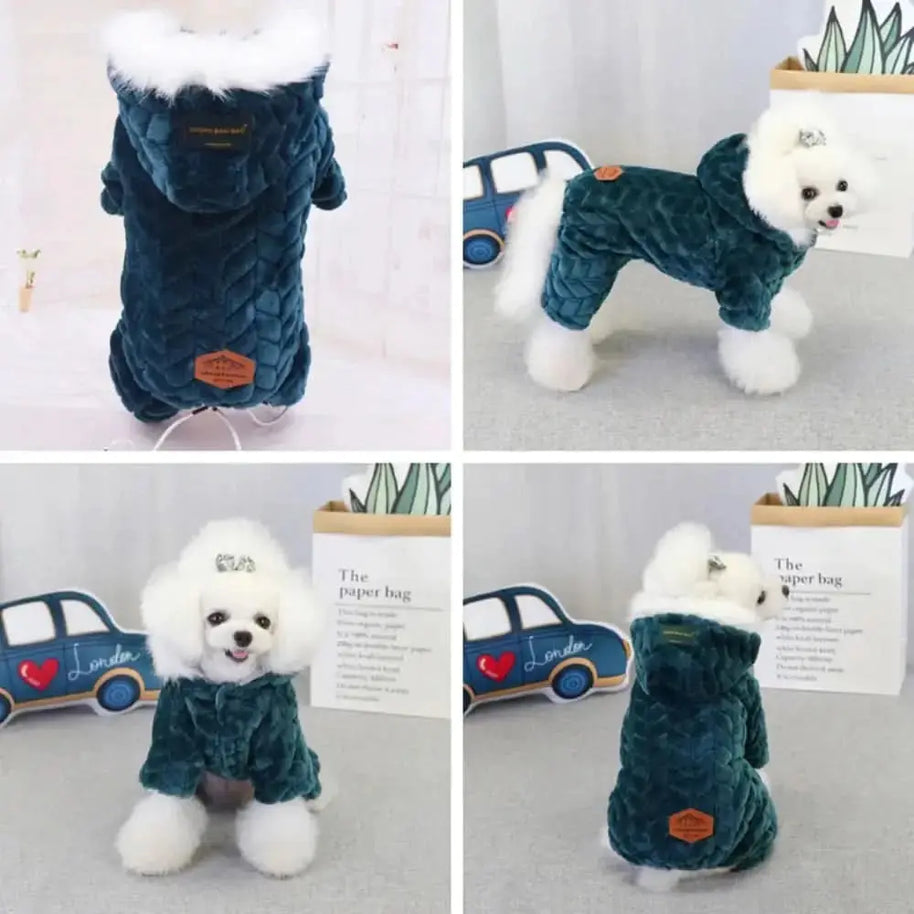 Canine Winter Apparel