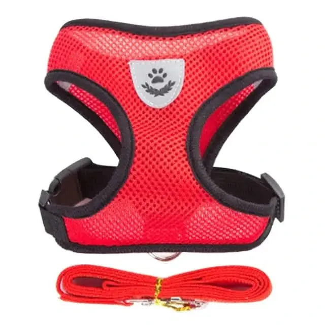 Pet Harness – Comfort and Safety in Every Step!