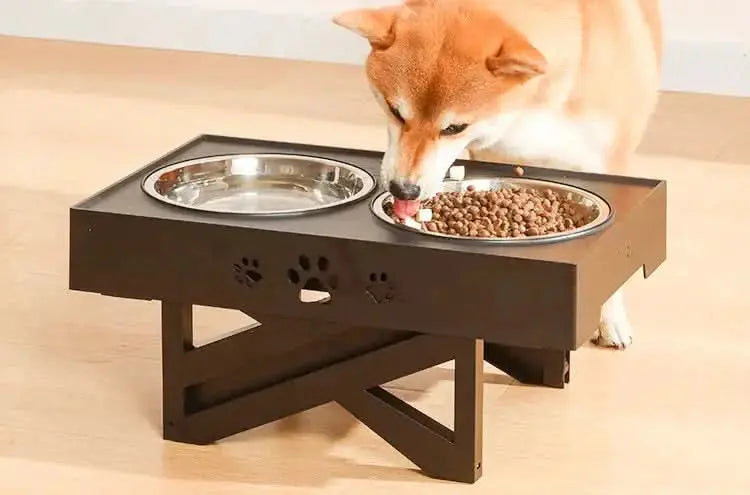 Elevated Dual-Bowl Pet Dining Table