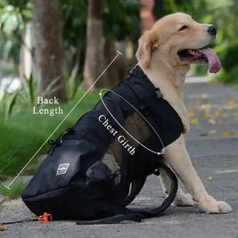 Canine Adventure Backpack