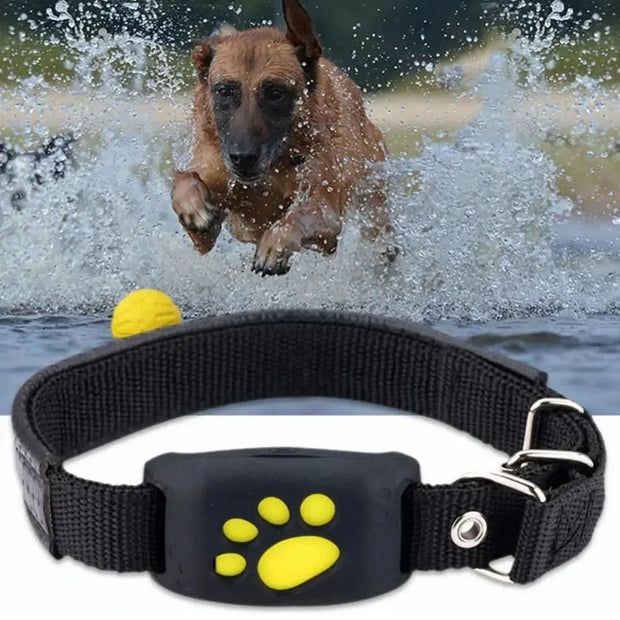 Smart Pet Locator Collar