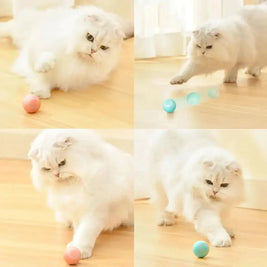 Auto Glide Cat Toy – Endless Fun for Your Feline!