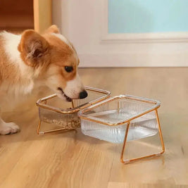 Elevated Lift Pet Bowl