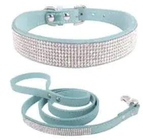 Stylish Pet Collar