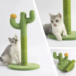 Scratching Cha Cha Cactus