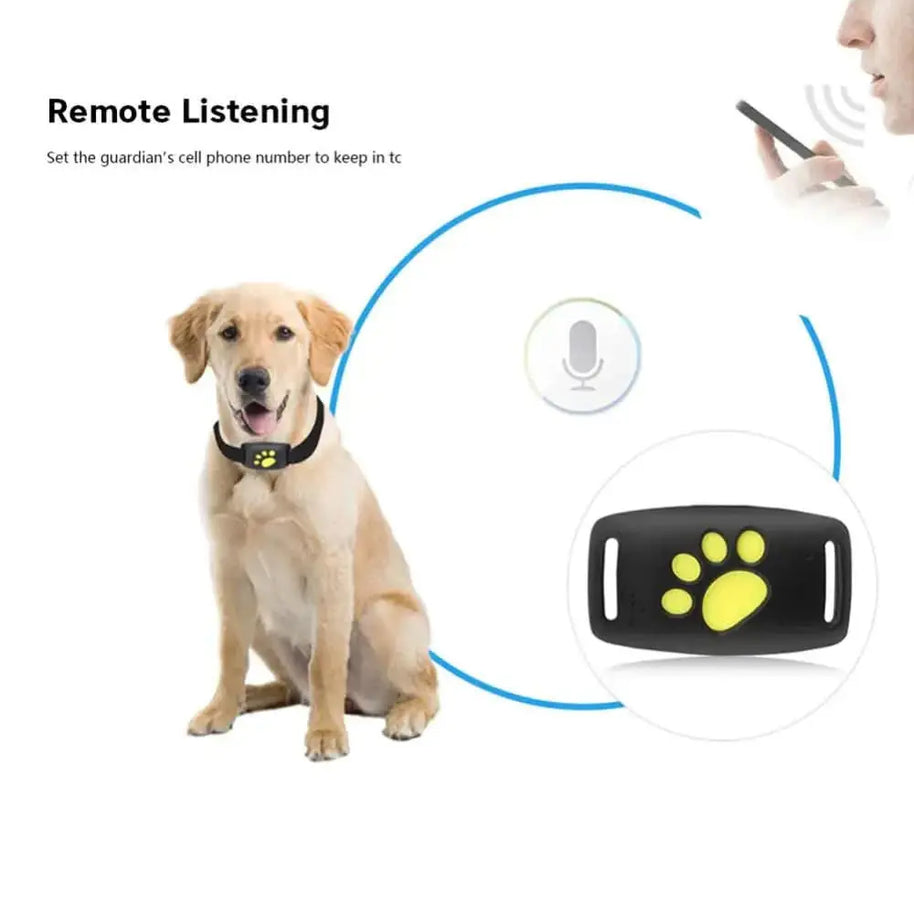 Smart Pet Locator Collar