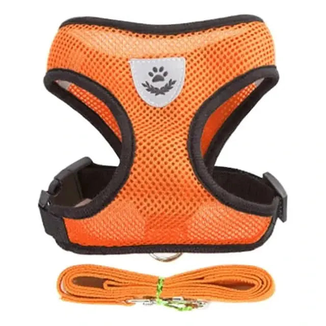 Pet Harness – Comfort and Safety in Every Step!