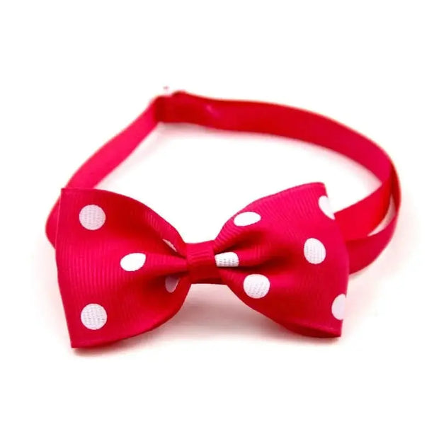 Festive Pet Bowtie Collar