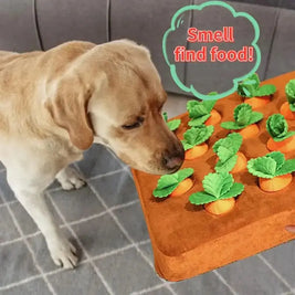 Veggie Fun Pet Chew