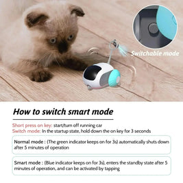 Smart Pet Playmate